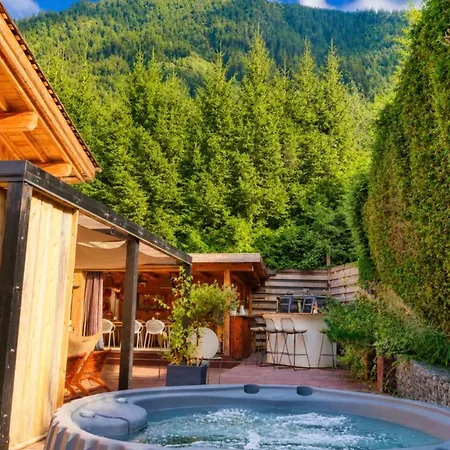 Design With Pool & Jacuzzi Alpesi faház *